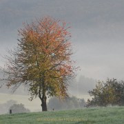 Monatsthema Zauberhaftes, Verträumtes - Fotograf Christoph Fuhrmann