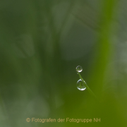 Monatsthema Zauberhaftes, Verträumtes - Fotografin Jutta R. Buchwald