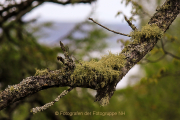 Monatsthema Zauberhaftes, Verträumtes - Fotograf Joachim Würth