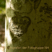 Monatsthema Zauberhaftes, Verträumtes - Fotografin Nicole Gieseler