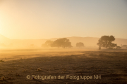 Monatsthema Zauberhaftes, Verträumtes - Fotografin Nicole Gieseler