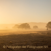Monatsthema Zauberhaftes, Verträumtes - Fotografin Nicole Gieseler