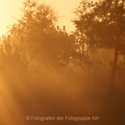 Monatsthema Zauberhaftes, Verträumtes - Fotograf Helmut Joa