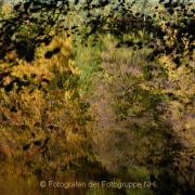 Monatsthema Zauberhaftes, Verträumtes - Fotograf Clemens Schnitzler
