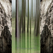 Triptychon - Fotograf Joachim Clemens