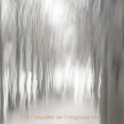 Monatsthema Bewegungen, Schwingungen - Fotograf Joachim Clemens