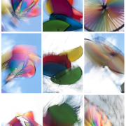 Monatsthema Bewegungen, Schwingungen - Fotografin Jutta R. Buchwald