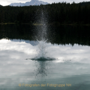 Monatsthema Bewegungen, Schwingungen - Fotograf Olaf Kratge