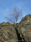 Monatsthema Steine, Felsen, Mauern - Fotografin Anne Jeuk