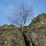 Monatsthema Steine, Felsen, Mauern - Fotografin Anne Jeuk