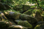 Monatsthema Steine, Felsen, Mauern - Fotograf Joachim Clemens