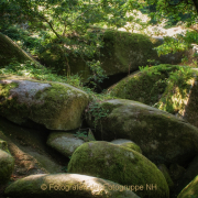 Monatsthema Steine, Felsen, Mauern - Fotograf Joachim Clemens