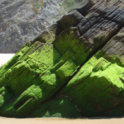 Monatsthema Steine, Felsen, Mauern - Fotograf Helmut Joa