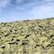 Monatsthema Steine, Felsen, Mauern - Fotograf Olaf Kratge