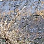 Monatsthema Steine, Felsen, Mauern - Fotograf Henry Mann