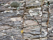 Monatsthema Steine, Felsen, Mauern - Fotograf Henry Mann