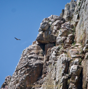 Monatsthema Steine, Felsen, Mauern - Fotograf Henry Mann