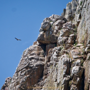 Monatsthema Steine, Felsen, Mauern - Fotograf Henry Mann