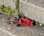 Monatsthema Fundstücke am Boden - Fotograf Henry Mann