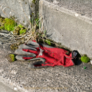 Monatsthema Fundstücke am Boden - Fotograf Henry Mann