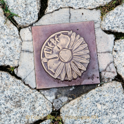 Monatsthema Fundstücke am Boden - Fotografin Jutta R. Buchwald