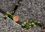 Monatsthema Fundstücke am Boden - Fotograf Helmut Joa