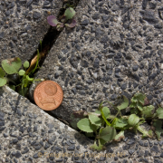 Monatsthema Fundstücke am Boden - Fotograf Helmut Joa