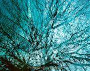 Monatsthema Abstrakt - Fotograf Henry Mann
