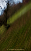 Monatsthema Abstrakt - Fotograf Henry Mann