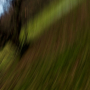 Monatsthema Abstrakt - Fotograf Henry Mann