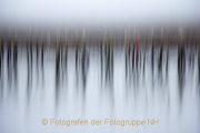 Monatsthema Abstrakt - Fotografin Nicole Gieseler