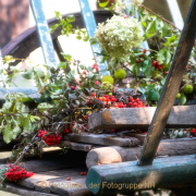 Monatsthema Stillleben - Fotograf Joachim Clemens