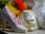 Monatsthema Stillleben - Fotograf Henry Mann