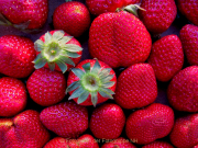 Monatsthema Rot dominiert - Fotografin Anne Jeuk