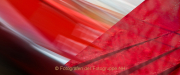Monatsthema Rot dominiert - Fotografin Jutta R. Buchwald