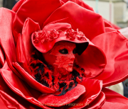 Monatsthema Rot dominiert - Fotograf Henry Mann