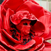 Monatsthema Rot dominiert - Fotograf Henry Mann
