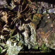 Monatsthema Langzeitbelichtung - Fotograf Helmut Joa