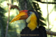 Monatsthema Tiere - Fotograf Joachim Clemens