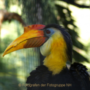 Monatsthema Tiere - Fotograf Joachim Clemens