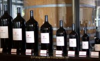 Monatsthema "alles was mit Wein zu tun hat" - Fotografin Anne Jeuk