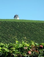 Monatsthema "alles was mit Wein zu tun hat" - Fotografin Anne Jeuk