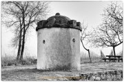 Monatsthema "alles was mit Wein zu tun hat" - Fotograf Henry Mann