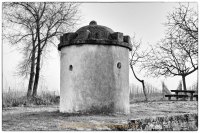 Monatsthema "alles was mit Wein zu tun hat" - Fotograf Henry Mann