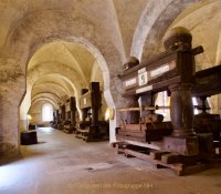 Monatsthema "alles was mit Wein zu tun hat" - Fotograf Henry Mann