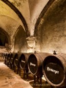 Monatsthema "alles was mit Wein zu tun hat" - Fotograf Henry Mann