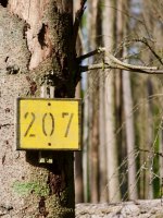 Buchstaben und Zahlen - Fotograf Henry Mann