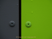Frühlingsgrün - Fotografin Anne Jeuk