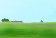 Frühlingsgrün - Fotografin Anne Jeuk