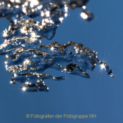 Gefrorenes - Fotografin Jutta R. Buchwald